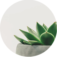 Link To Custom - Email Signup Page
